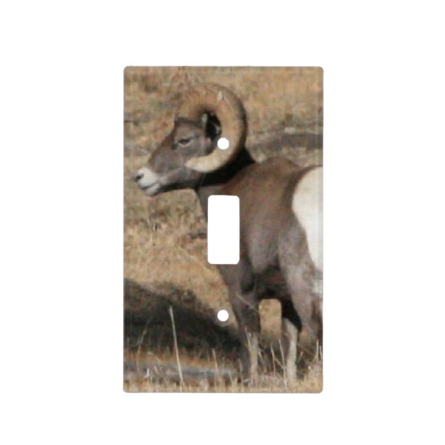 Big Horn Ram Light Switch Cover (Front)