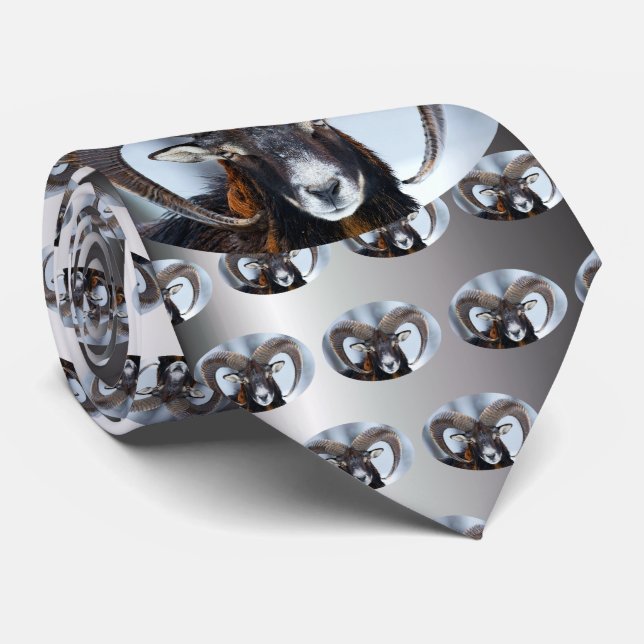 Big Horn Ram Sheep - Mouflon Neck Tie (Rolled)