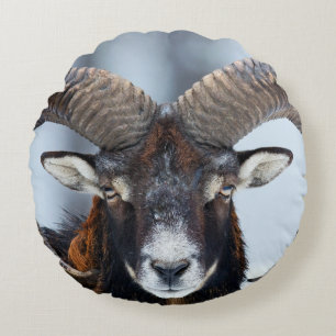 Big Horn Ram Sheep - Mouflon Round Pillow