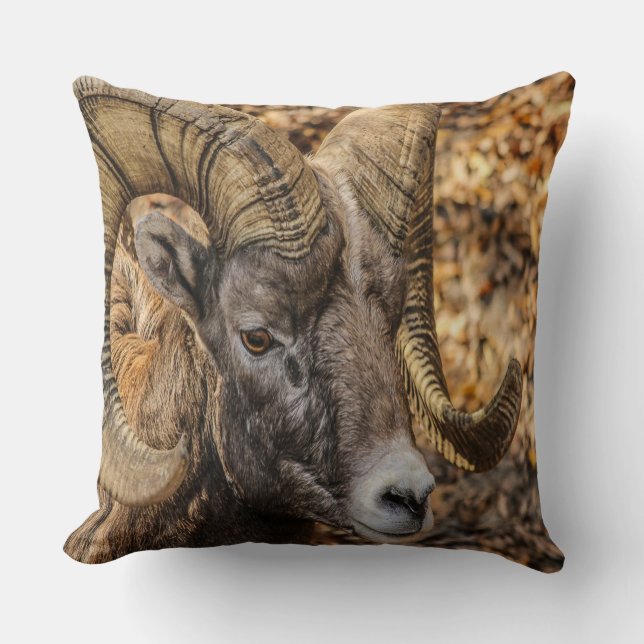 Big Horn Ram Throw Pillow (Front)