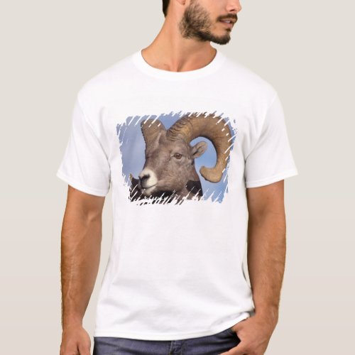 big horn sheep mountain sheep Ovis canadensis T_Shirt