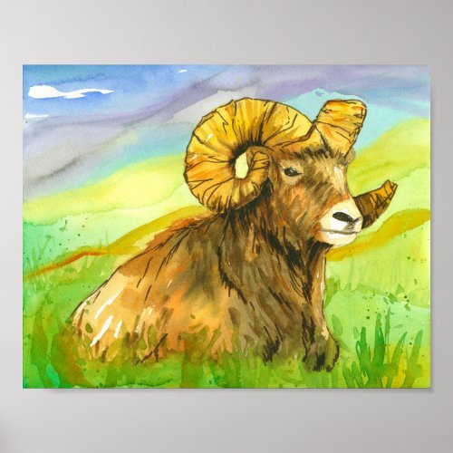 Big Horn Sheep Ram Wildlife Mountains Poster