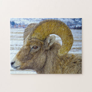 Big Horned Sheep Montana. Jigsaw Puzzle