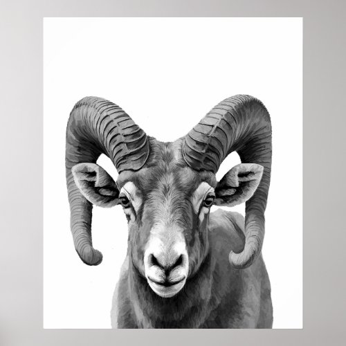 Big Horned Sheep Portrait  Black white  Poster