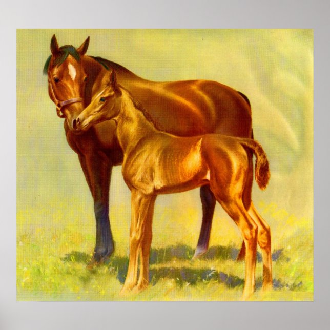 big horse little horse poster (Front)