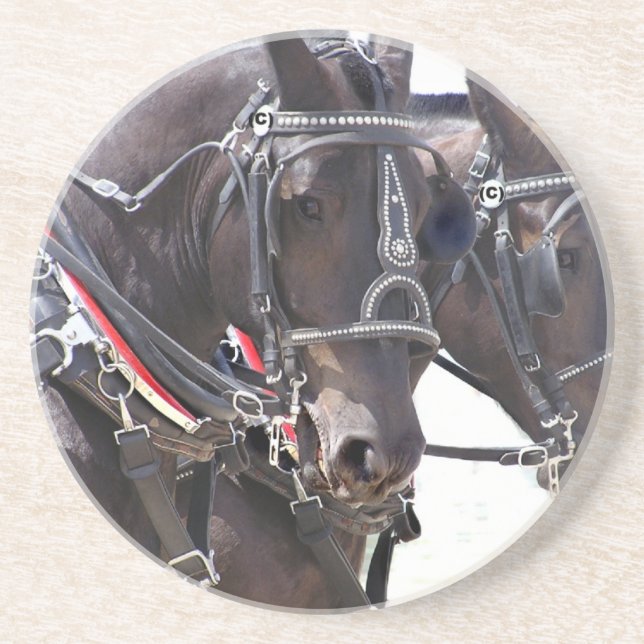 Big Horses Coaster (Front)