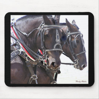 Big Horses Mousepad