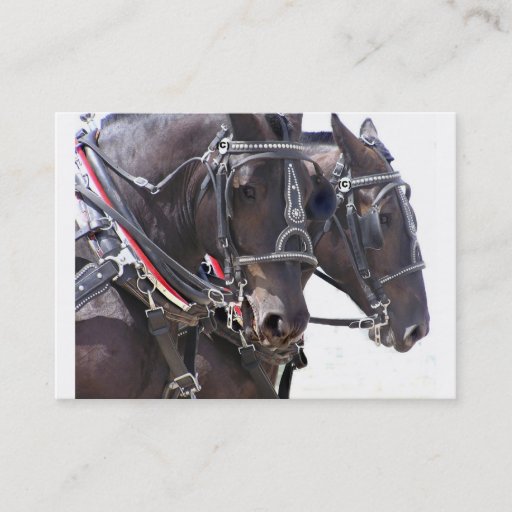 Customizable Big Horses Profile Card Business Card Templates