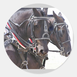 Big Horses Stickers