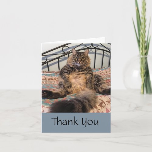 Big Huggable Cat Thank You Note Card