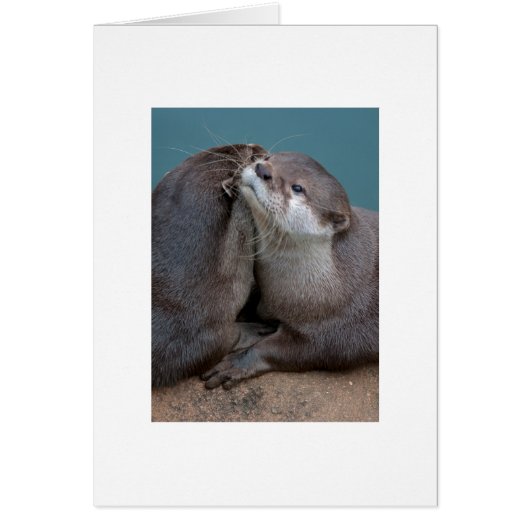Big Hugs Cards (Front)