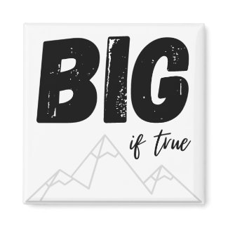 Big If True Magnet