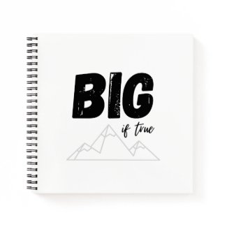 Big If True Notebook