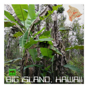 BIG ISLAND HAWAII POSTER