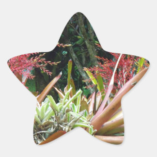 Big Island of Hawaii Botanical Gardens Star Sticke Sticker