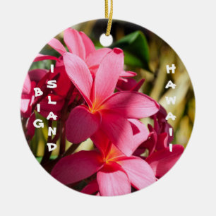 Big Island, Plumeria Flowers in Pink and White Ceramic Ornament