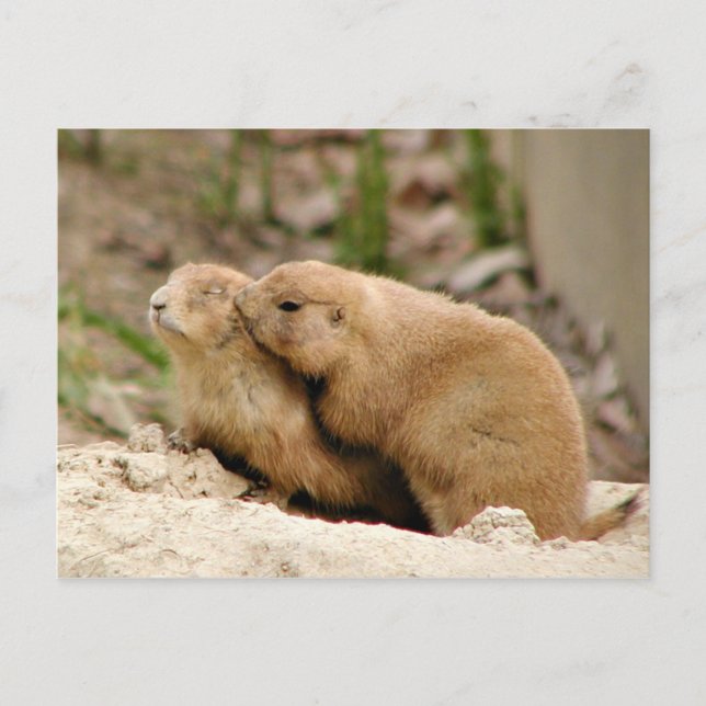 Big kiss postcard (Front)