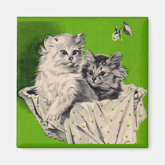 big kitten little kitten magnet