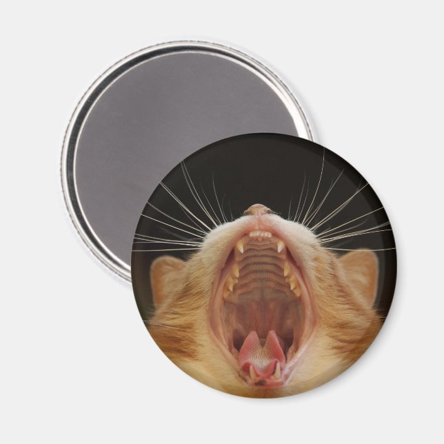 Big Kitty Yawn, Sleepy Kitty Magnet (Front/Back)