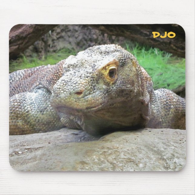 Big Komodo Dragon Mouse Pad (Front)
