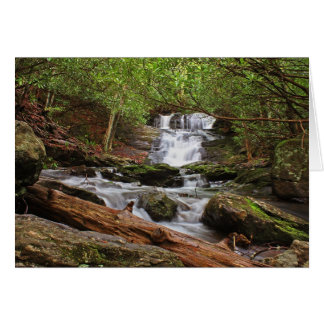 Big Laurel Falls Cards