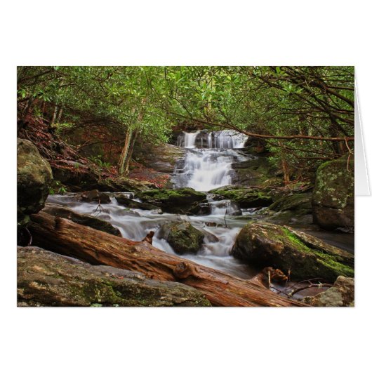 Big Laurel Falls Cards (Front Horizontal)