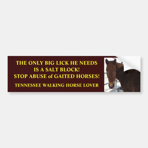 Big Lick _ Tennessee Walking Horses Bumper Sticker