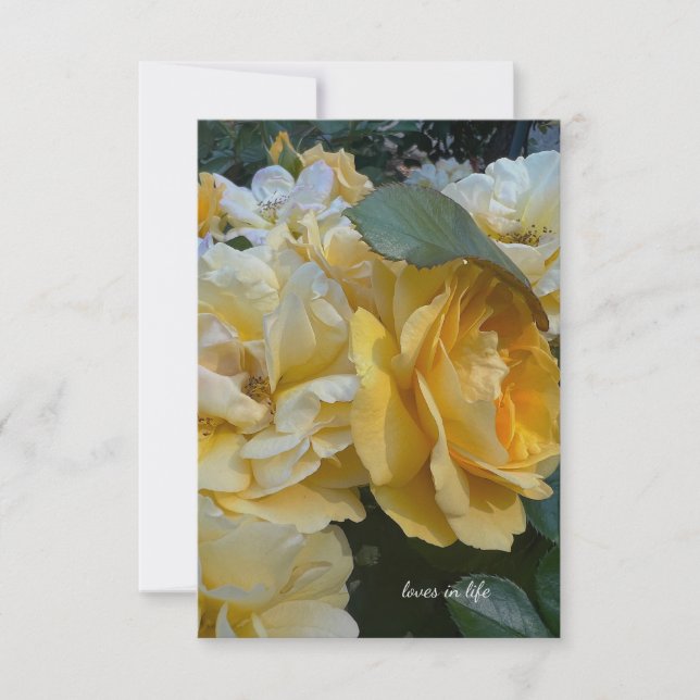Big Light Yellow Roses Note Card (Front)