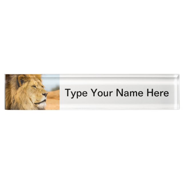 Big lion looking far away desk name plate (Front)