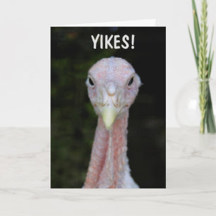 Big Mad Turkey Get Well Card