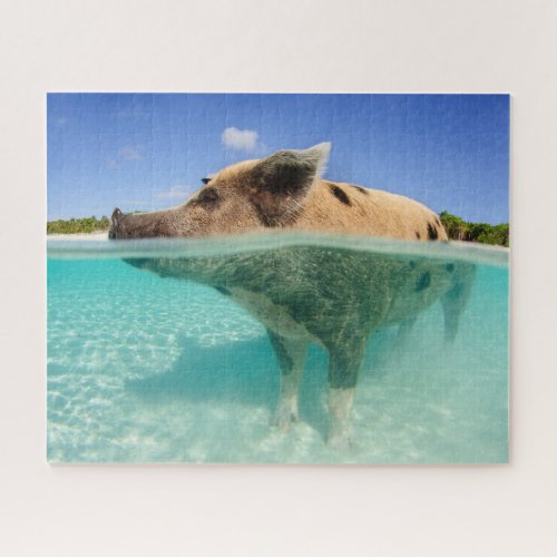 Big Mama Pig in the Water Jigsaw Puzzle