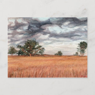 Big Meadow Skyline Drive Postcard