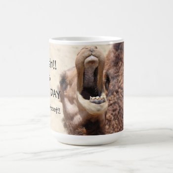 Big Mouthed Camel Hump Day Mug  Whoot! Coffee Mug by PicturesByDesign at Zazzle