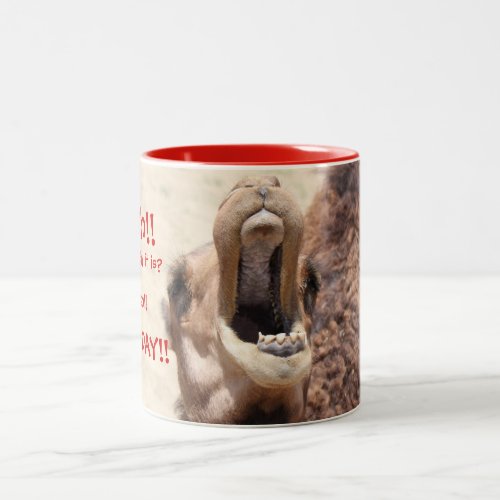 Big Mouthed Camel Hump Day Red Mug