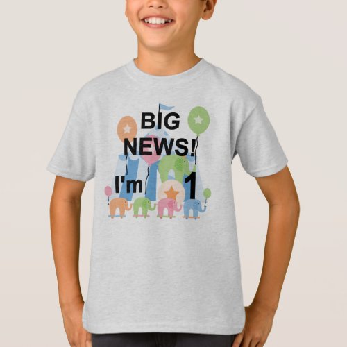 Big News Circus 1st Birthday T_shirts and Gifts