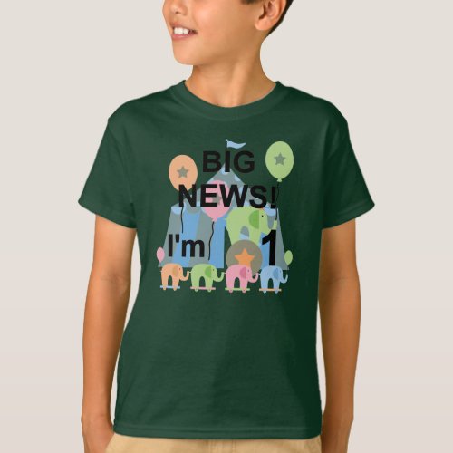 Big News Circus 1st Birthday T_shirts and Gifts