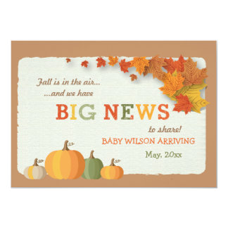 Big News Pregnancy Announcement
