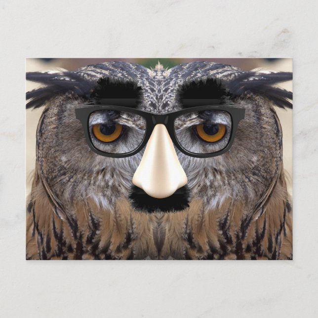 Big Nose Bird Postcard (Front)