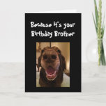 Big Nose Dog Funny Birthday Brother Love Dog Card<br><div class="desc">Brother  Because it's your Birthday and I nose it that's why you're getting this card.   Happy Birthday cute Fun Big Nose Dog Animal fun</div>