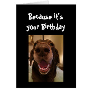 Big Nose Dog Funny Birthday Love Dog Cards