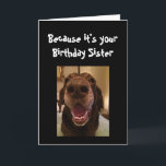 Big Nose Dog Funny Birthday Sister Love Dog Card<br><div class="desc">Sister  Because it's your Birthday and I nose it that's why you're getting this card.   Happy Birthday cute Fun Big Nose Dog Animal fun</div>