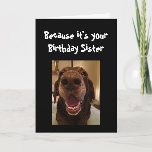 Big Nose Dog Funny Birthday Sister Love Dog Card