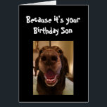 Big Nose Dog Funny Birthday  Son Love Dog<br><div class="desc">Son  Because it's your Birthday and I nose it that's why you're getting this card.   Happy Birthday cute Fun Big Nose Dog Animal fun</div>