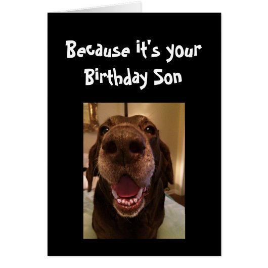 Big Nose Dog Funny Birthday Son Love Dog Cards (Front)