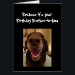 Big Nose Dog Funny BirthdayBrother-in-law Dog<br><div class="desc">Brother-in-law  Because it's your Birthday and I nose it that's why you're getting this card.   Happy Birthday cute Fun Big Nose Dog Animal fun</div>
