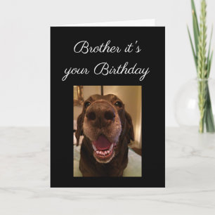 Big Nose Dog Funny Brother Birthday Love Dog Card