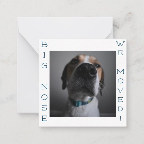 Big Nosed Dog change of address Postcard