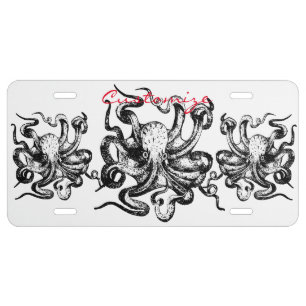 Big octopus Thunder_Cove License Plate