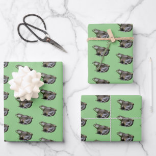 Big Old Bullfrog Animal Nature   Wrapping Paper Sheets