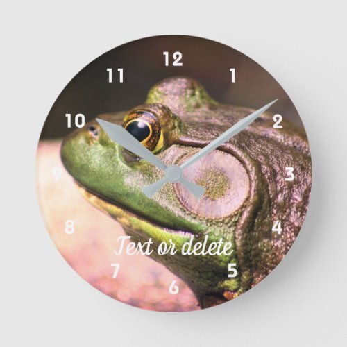 Big Old Bullfrog Face Nature Personalized Round Clock
